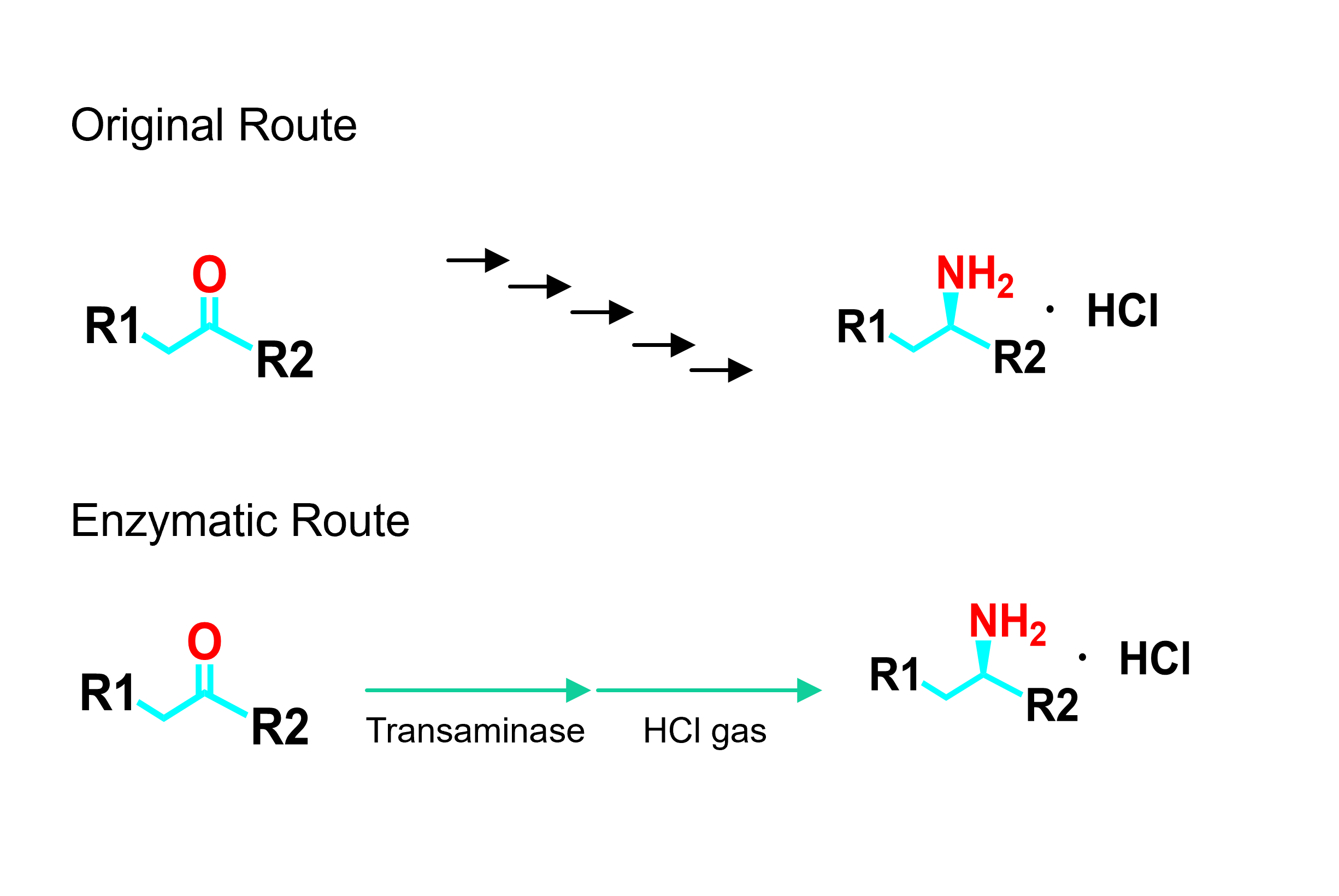 biocatalysis casestudy2 生物酶催化