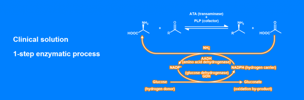Clinical Solution 1-step enzymatic process