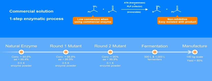Commercial solution 1-step enzymatic process